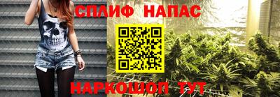 молекула духа Владикавказ