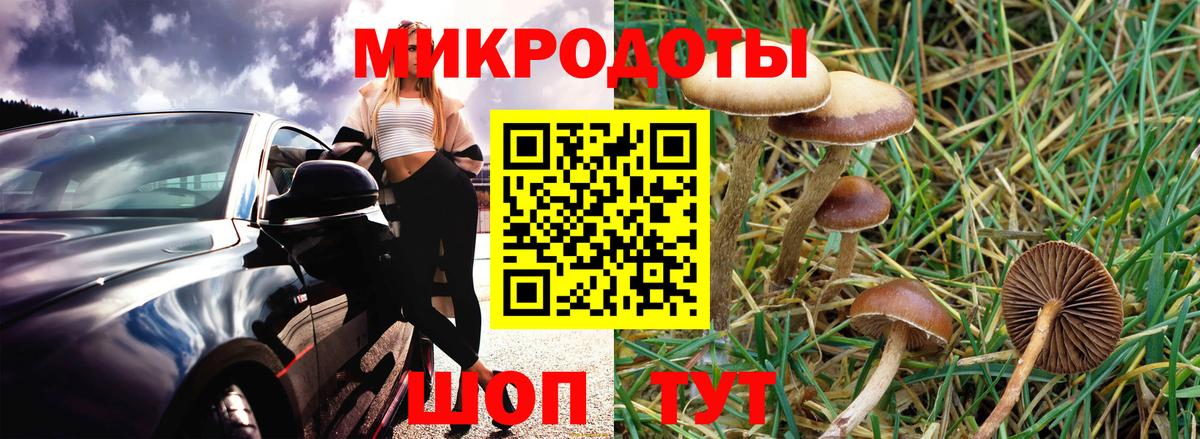 Владимир  Псилоцибиновые грибы ЛСД  Вход с VPN 