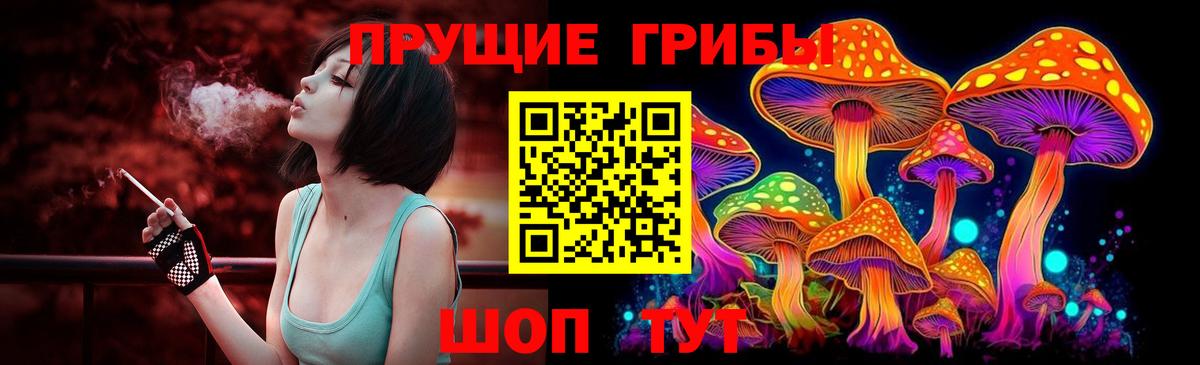 Галлюциногенные грибы Cubensis Владимир