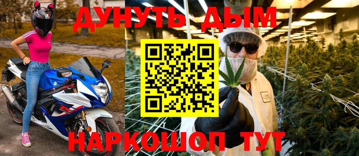 Каннабис семена  Конопля MAZAR  Вход с VPN  Владимир  Марихуана гибрид 